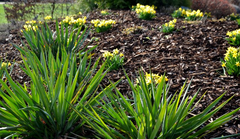 Garden Mulch Delivery
