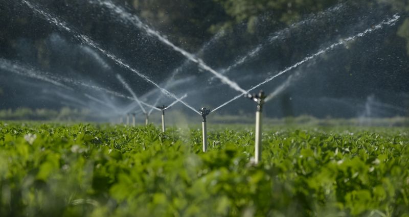 Efficient Irrigation Solutions