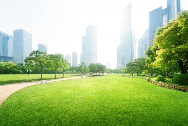 Commercial Landscape Maintenance in De Pere