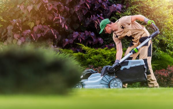 Lawn Care And Maintenance
