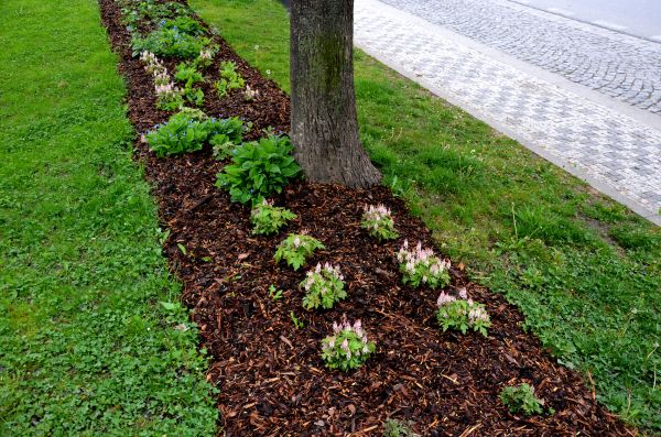 Mulch Replacement Service in De Pere