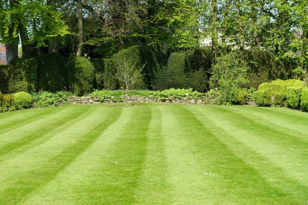 Lawn Renovation in De Pere