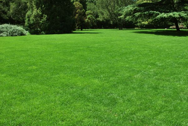 Lawn Landscaping in De Pere