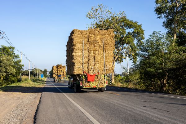 Pine Straw Delivery in De Pere