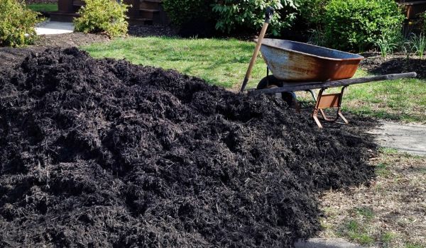 Black Mulch Delivery in De Pere