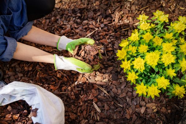 Garden Mulching in De Pere