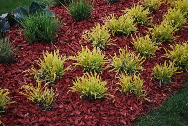 Mulch Landscaping in De Pere