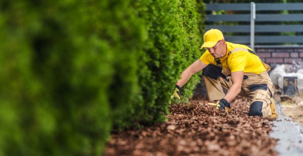 Cypress Mulch Installation in De Pere