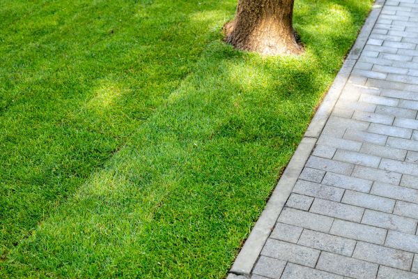 Border Stone Installation in De Pere