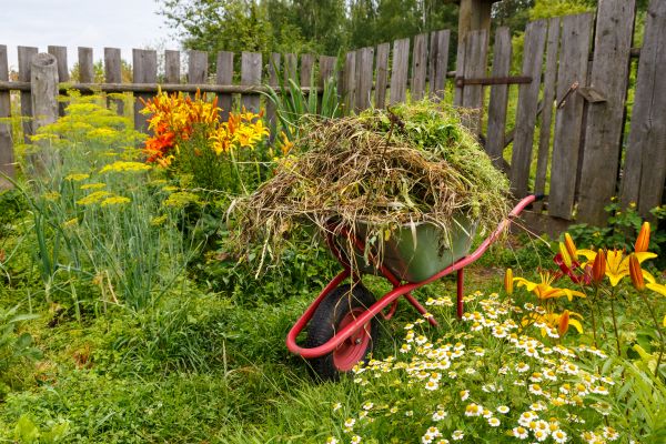 Garden Cleanup Service in De Pere