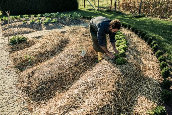 Straw Mulching Service in De Pere