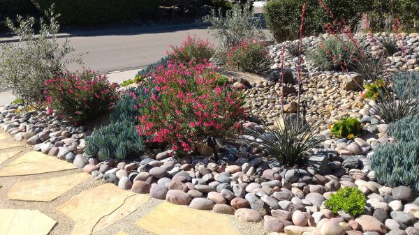 Xeriscape Landscaping in De Pere