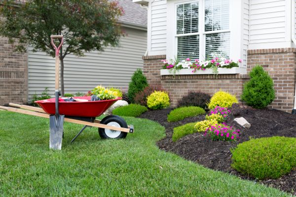 Tree And Shrub Planting in De Pere