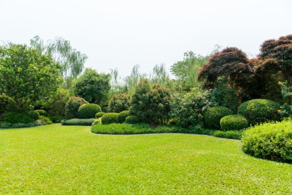 Tree Landscaping in De Pere