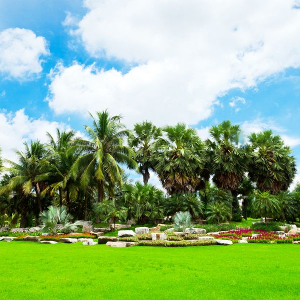 Tropical Landscaping in De Pere