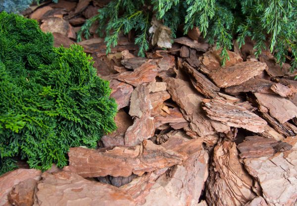 Pine Bark Installation in De Pere