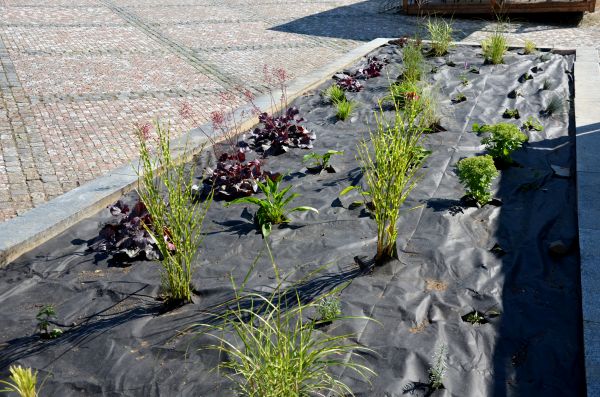 Landscape Fabric Installation in De Pere