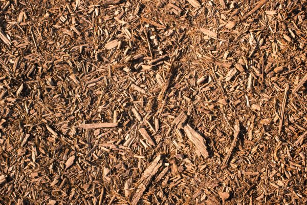 Wood Chips Removal in De Pere