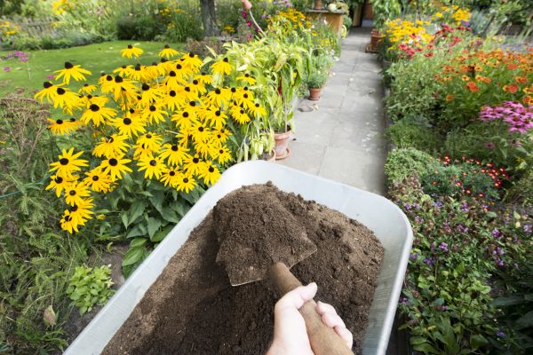 Topsoil Replacement in De Pere