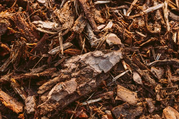 Bark Mulch Delivery in De Pere