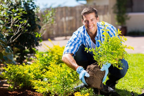 Shrub Landscaping in De Pere