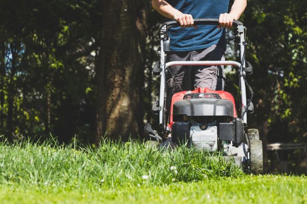 Garden Trimming Service in De Pere