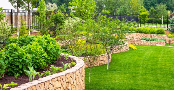 Yard Makeover Service in De Pere