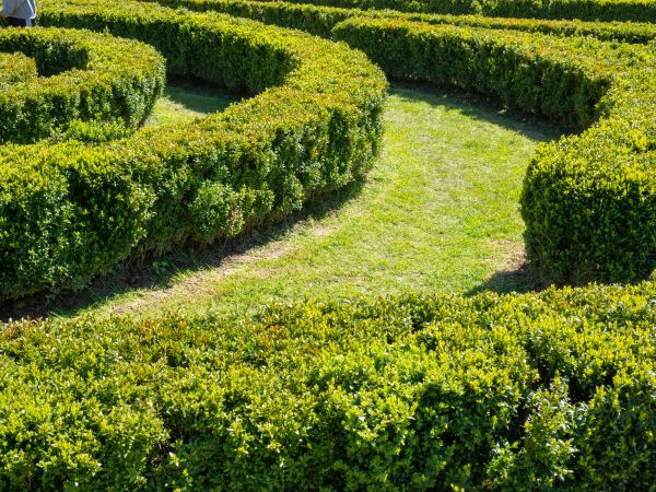 Bush Landscaping in De Pere