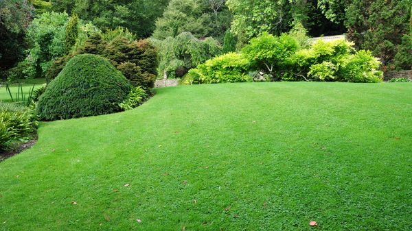 Commercial Landscape Design in De Pere