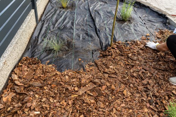 Pine Bark Spreading in De Pere