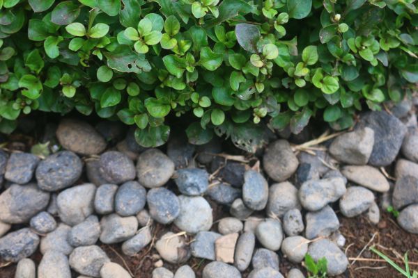 River Stone Installation in De Pere