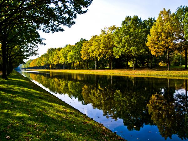 Bank Landscaping in De Pere