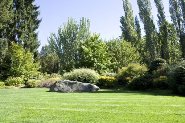 Yard Enlargement in De Pere