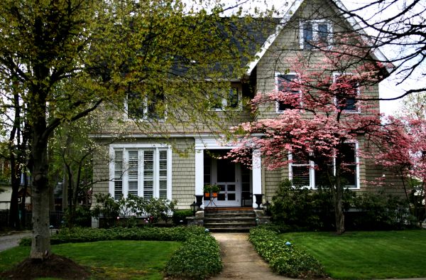 Ornamental Tree Planting in De Pere