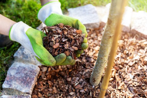 Tree Bark Delivery in De Pere