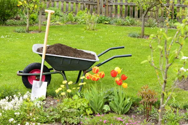 Spring Yard Renovation in De Pere