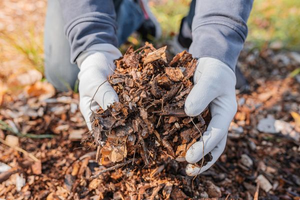 Shredded Mulch Installation in De Pere