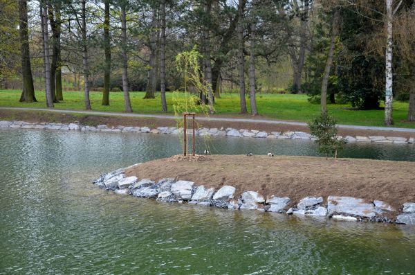 Pond Landscaping Service in De Pere