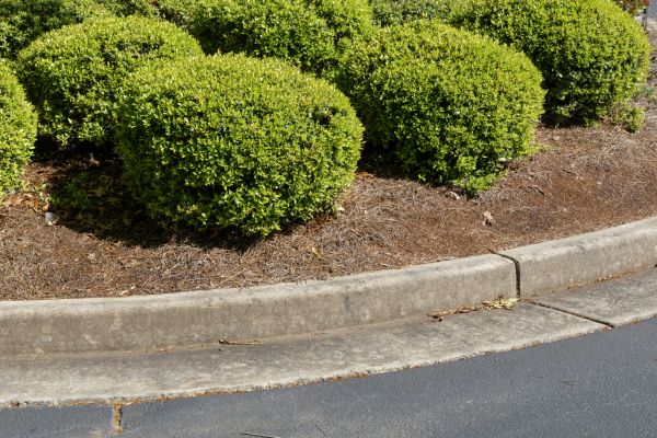 Pine Mulch Installation in De Pere