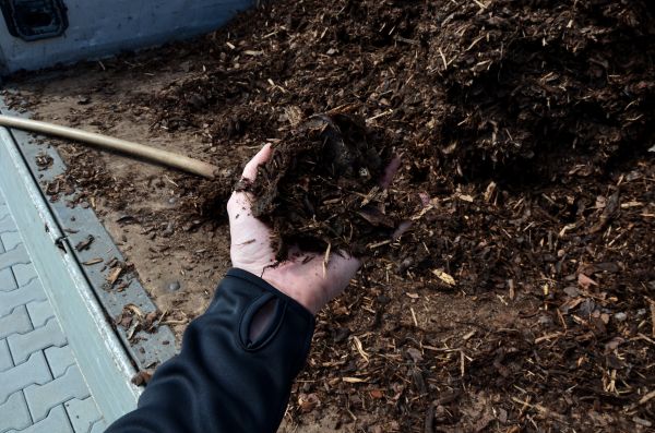 Condo Mulching in De Pere